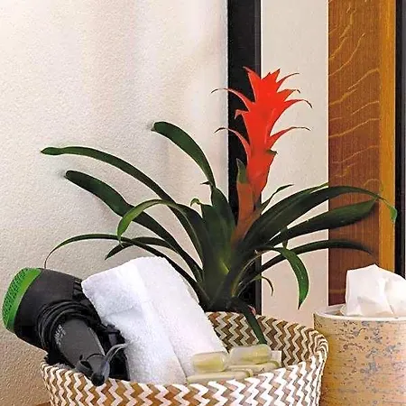 מלון Boutique-hotel Antica Posta