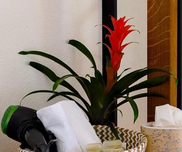 アンティカ ポスタ